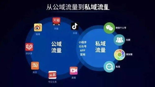 圍墻漸拆，新局將啟 互聯互通背后的互聯網權力重塑