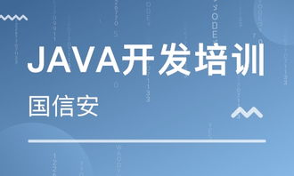 成都四川國信安職業(yè)培訓學校 河北新聞網推薦品牌，專注軟件外包服務